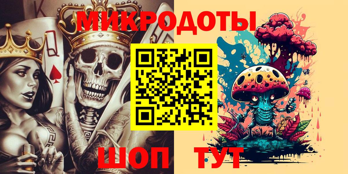 Псилоцибиновые грибы Psilocybe Гусиноозёрск